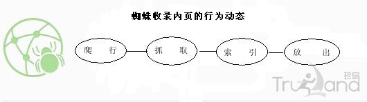 蜘蛛收錄內頁行為動態(tài)