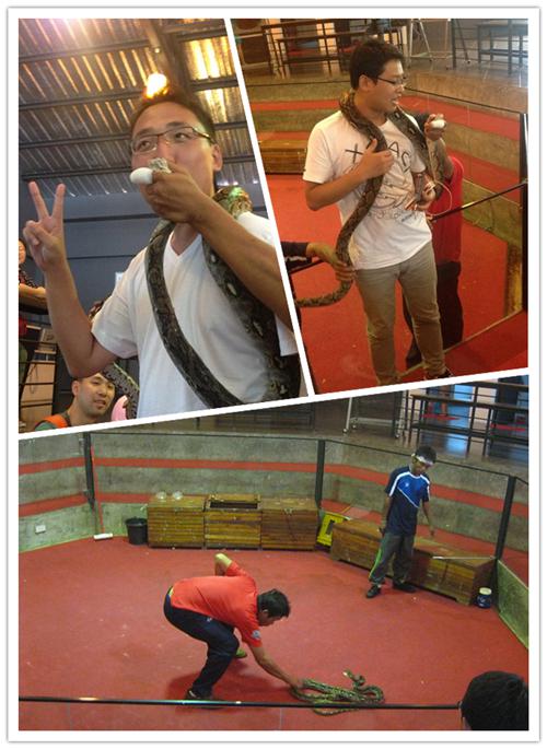 和蟒蛇啵一個(gè)