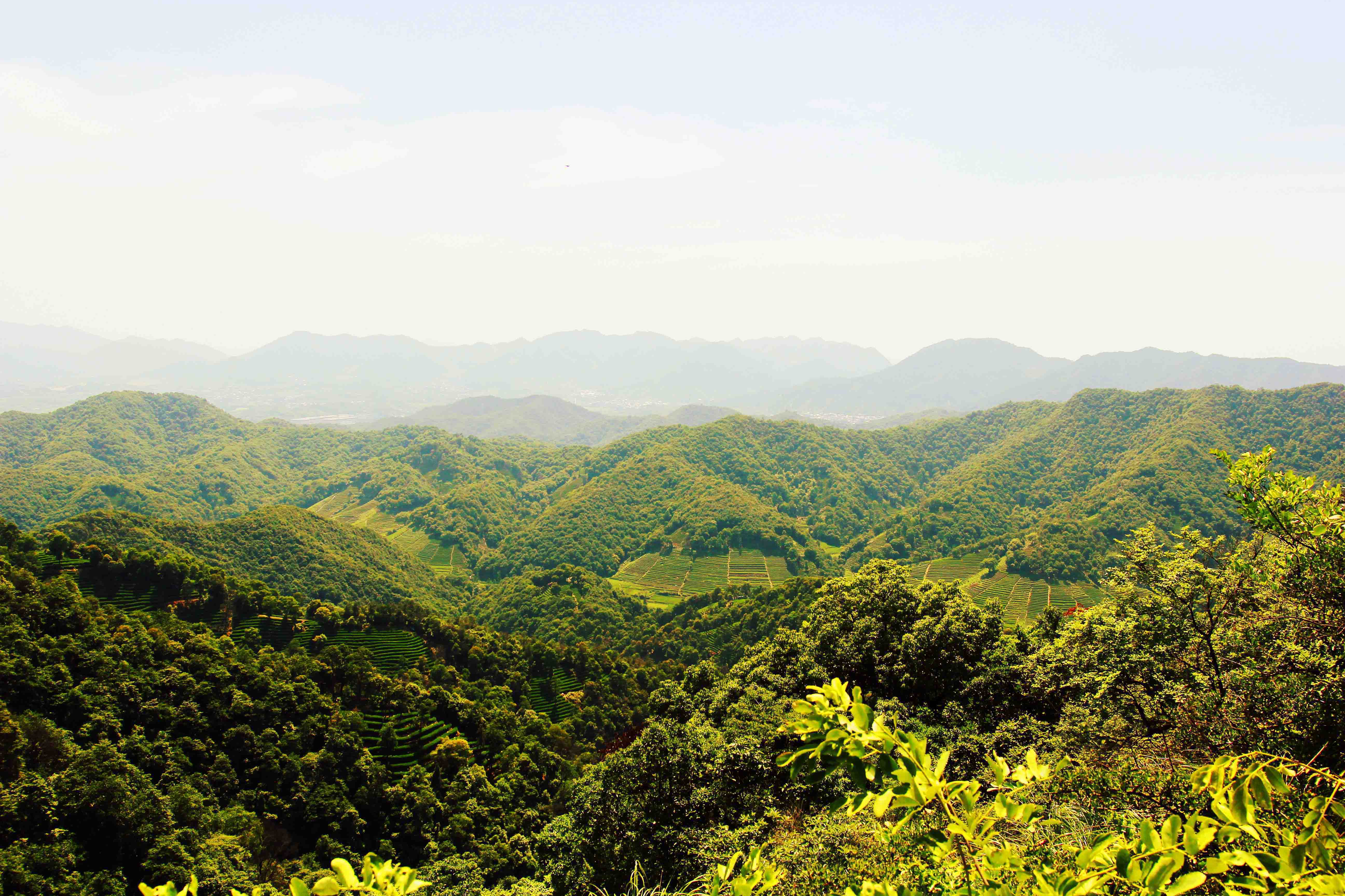 杭州美景盡收眼底