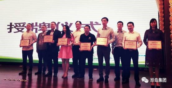 上海珍島獲選為2017年雙推服務(wù)平臺